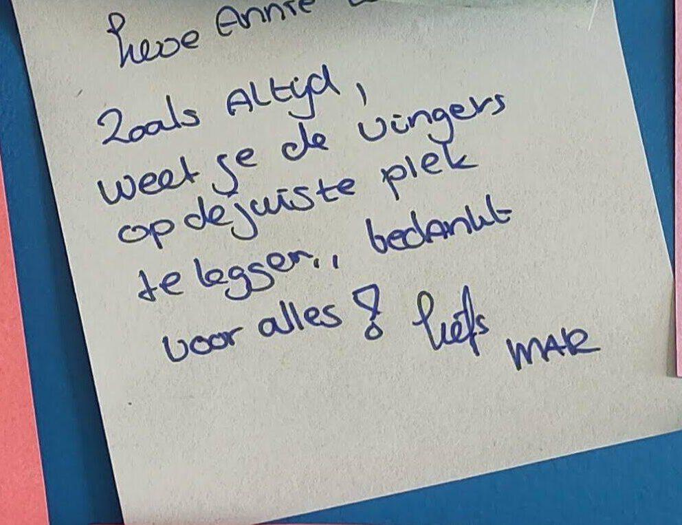 Anna legt de vinger op de juiste plek review anna coach & reiki holistisch therapeut